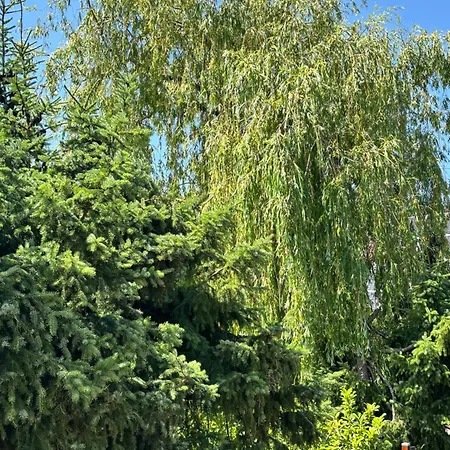 Harmonie Im Gruenen-erdgeschoss-ferienwohnung Mit Eigenem Eingang Und Direktem Gartenzugang Apartment