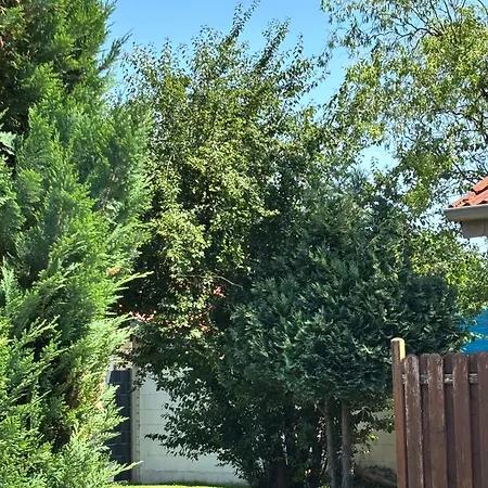 Harmonie Im Gruenen-erdgeschoss-ferienwohnung Mit Eigenem Eingang Und Direktem Gartenzugang